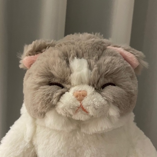 SUNLEMON) 무릎인형★잠자는 쓰야쓰야 고양이 2종