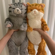 SUNLEMON) 무릎인형★잠자는 쓰야쓰야 줄무늬 고양이 2종