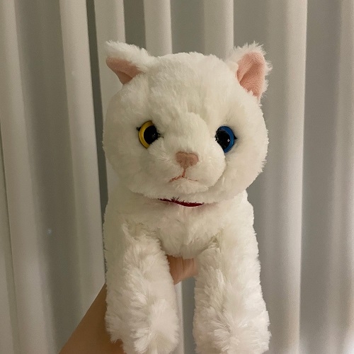 SUNLEMON) 무릎인형★고양이(오드아이/러시안블루)