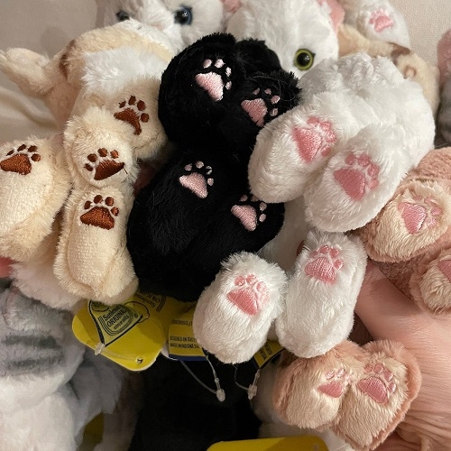 SUNLEMON) KITTEN 키튼 아기고양이 시리즈