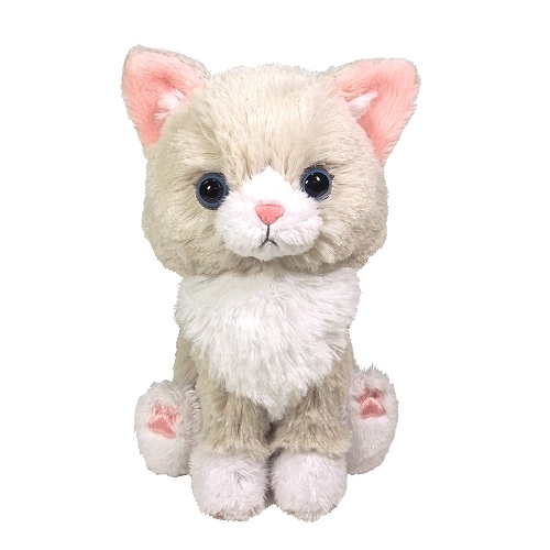 SUNLEMON) KITTEN 키튼 아기고양이 시리즈