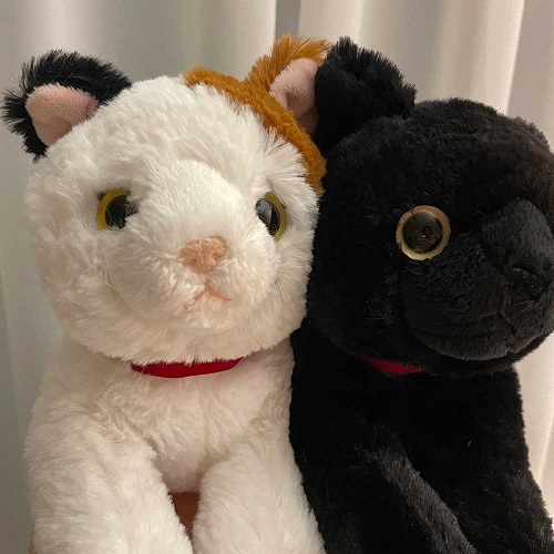 SUNLEMON) 무릎인형★고양이 S사이즈(점박이MIKE,블랙(검은고양이))
