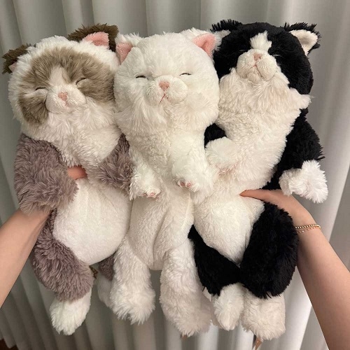 SUNLEMON) 무릎인형★잠자는 쓰야쓰야 랙돌 페르시안 턱시도 하치와레 고양이