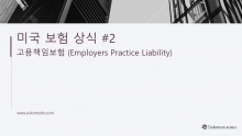 고용 책임 보험 (EPLI)