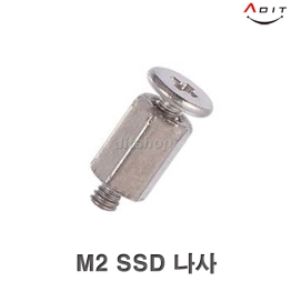 AV1010 - MSI용 m.2나사 SSD나사 지지대세트/1EA