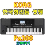 KORG pa300 (korg pa300/정품/옵션 스텐드,가방 필수선택/한국형리듬/도레미악기/낙원상가/KORG