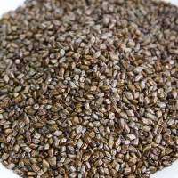 국내산 결명자 600g