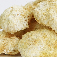 국내산 노루궁뎅이버섯 100g/200g/300g