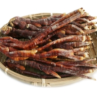 국내산 녹각영지버섯 150g