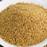 수입산 백개자 600g 겨자씨앗