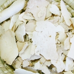 국내산 백복령 300g 흰솔풍령