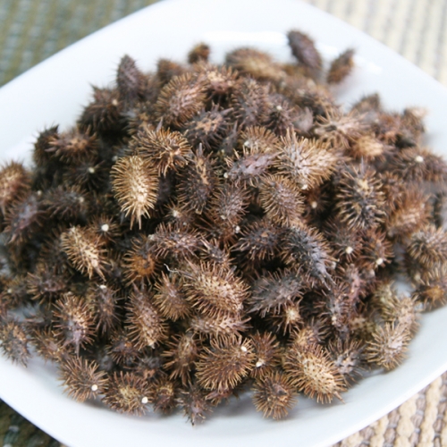 국내산 창이자 300g 도꼬마리 독고마리