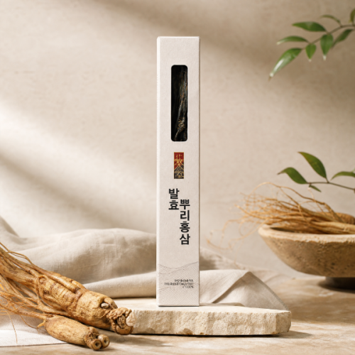 동진제약 발효뿌리홍삼 230g 홍삼정과 부모님선물 간식