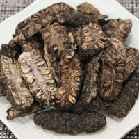 수입산 노니열매 300g 건노니열매 노니