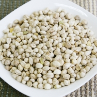 모링가씨앗 1kg 속씨앗 드럼스틱 모닝가씨앗