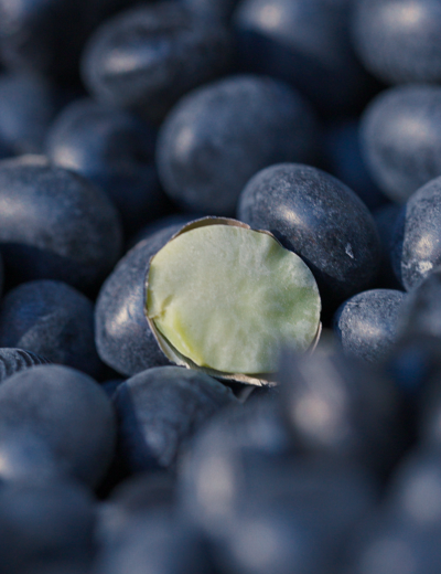 Frame 1597887340.png