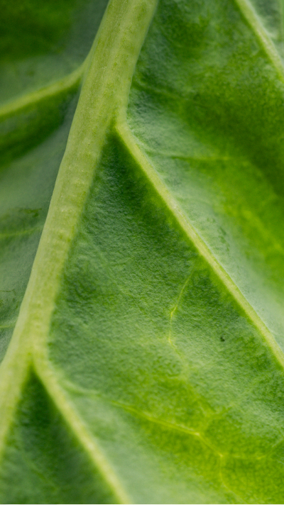 c81e728d9d4c2f636f067f89cc14862c_142739.png c81e728d9d4c2f636f067f89cc14862c_142739.png