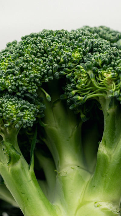 0aed8e5817fc199d55ee211dca3af709_143408.png 0aed8e5817fc199d55ee211dca3af709_143408.png