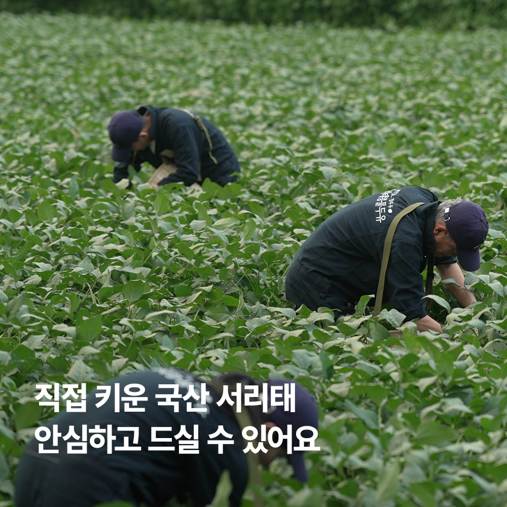 [서리태콩물두유(식단)] 웰니스 리셋 데이 특별전~26/1/30까지