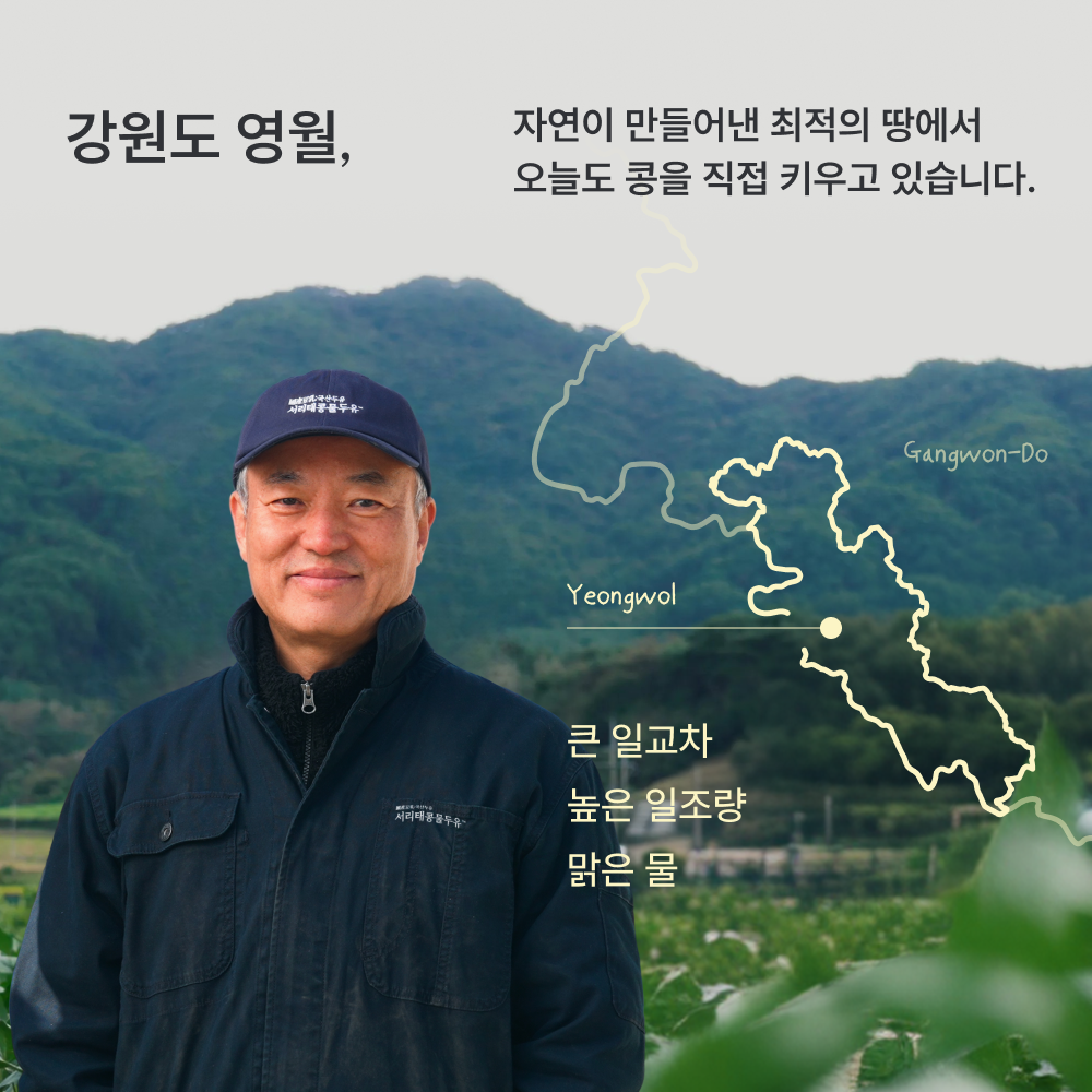 올리브 서리태콩물두유(올콩두) 올리브 서리태콩물두유(올콩두)