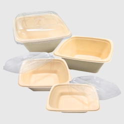 샐러드 포케 사각 펄프도시락 모음 1box(300개)
