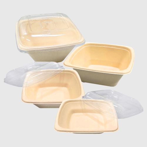 샐러드 포케 사각 펄프도시락 모음 1box(300개)
