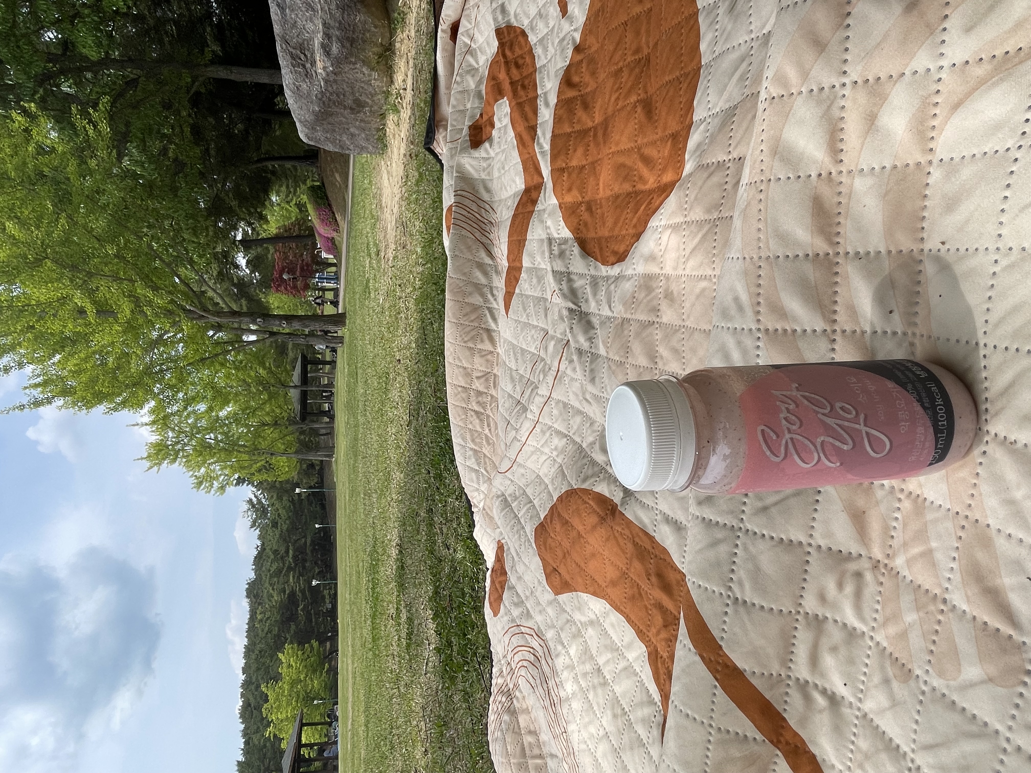 IMG_0107.jpeg