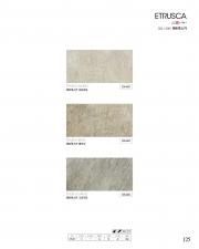 ETRUSCA_에트루스카 (305*609)