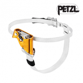 페츨 팬틴(오른쪽)/산업장비 AP-B02CRA