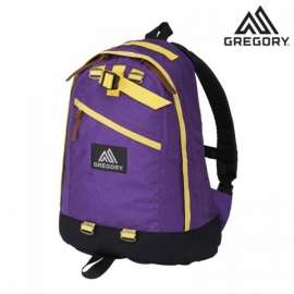 그레고리 파인데이 백팩 V2 PURPLE/YELLOW