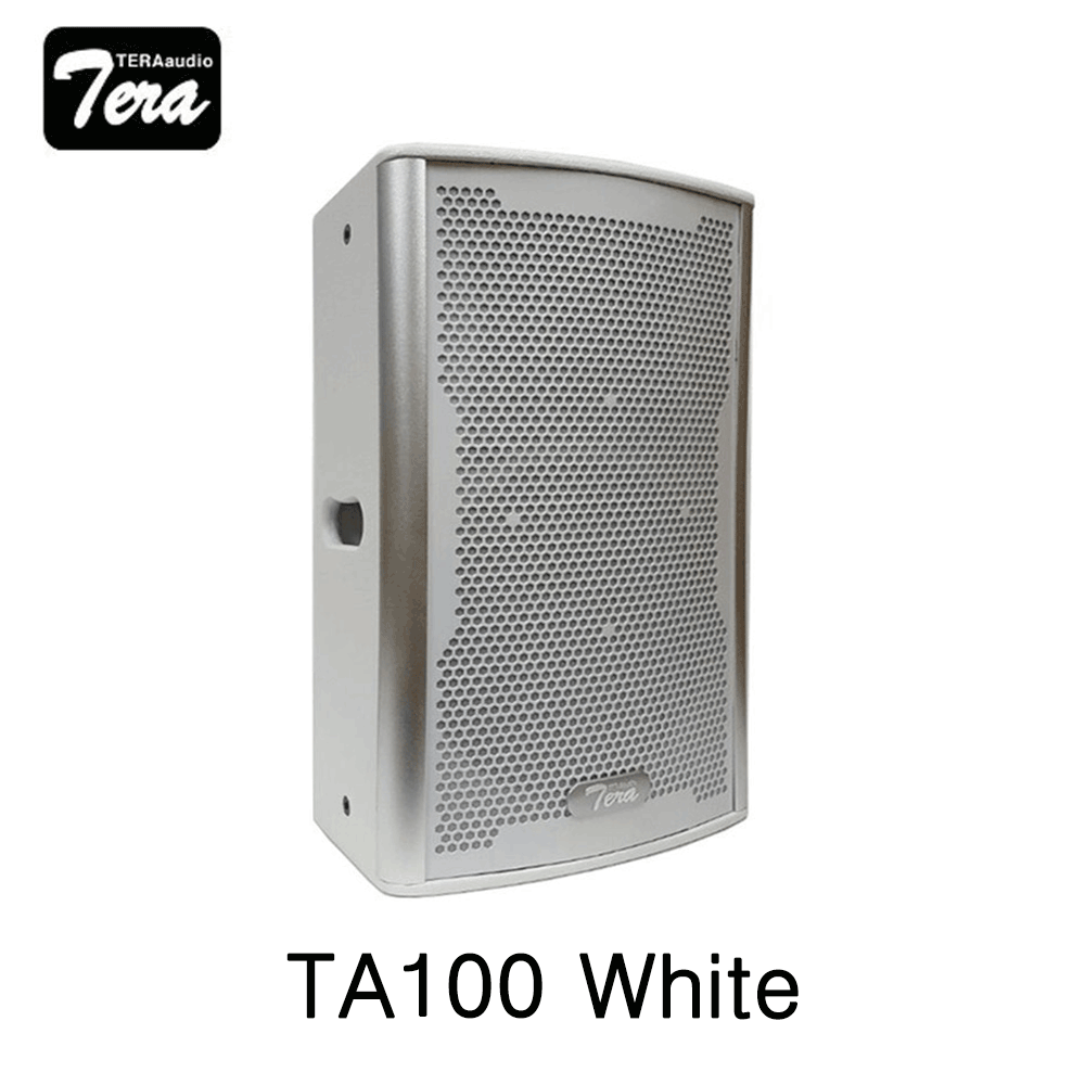 TERAaudio TA100 포인트어레이 10인치 2웨이 스피커 모니터겸용
