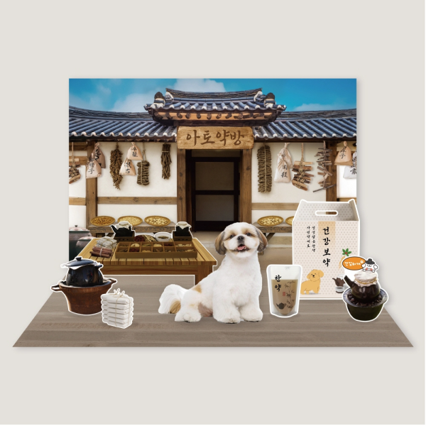 반려동물 강아지포토존 고양이 한약방컨셉 소품 한가위 추석 명절