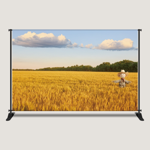 실사 가을 배경 현수막 추수 허수아비 은행나무 단풍놀이 코스모스 포토존