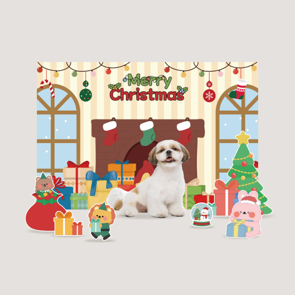 겨울 크리스마스 컨셉 반려동물 포토존 강아지 고양이 트리 스노우볼 소품