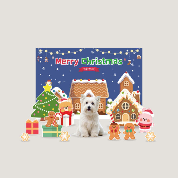 겨울 크리스마스 컨셉 반려동물 포토존 강아지 고양이 쿠키 소품