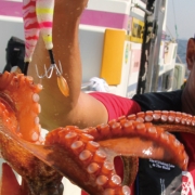 [세트판매] - 카이진 에기타코 165 + 엘란 옥토퍼스 P-LTD 54BR/BL