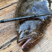 Bottom game [바텀게임] - 광어대 대광어 다운샷 광따 외수질 로드 라이트지깅대 C65M-MH