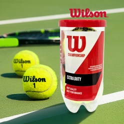 윌슨 테니스공 테니스 챔피온쉽 캔볼 정식시합구 테니스볼 2개입 1박스 1캔