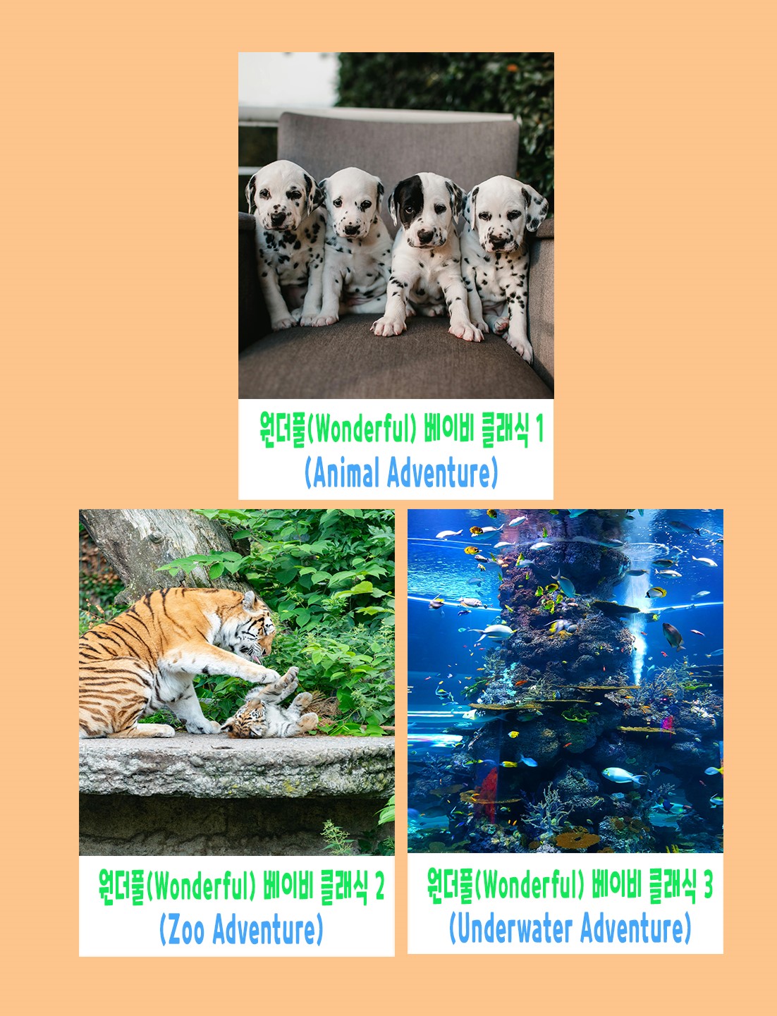 [정품인증]카디몽 레몽 원더풀 베이비 클래식 52곡(카드3장)