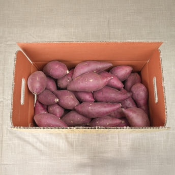 익산 날씬이 고구마 5kg/10Kg (햇꿀)