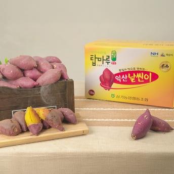 익산 날씬이 고구마 5kg/10Kg (햇꿀)