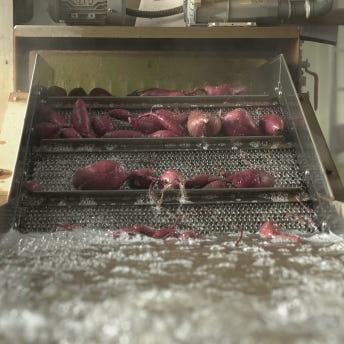 익산 날씬이 고구마 5kg/10Kg (햇꿀)