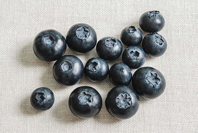 탑마루 웅포 햇 블루베리 생과 1kg