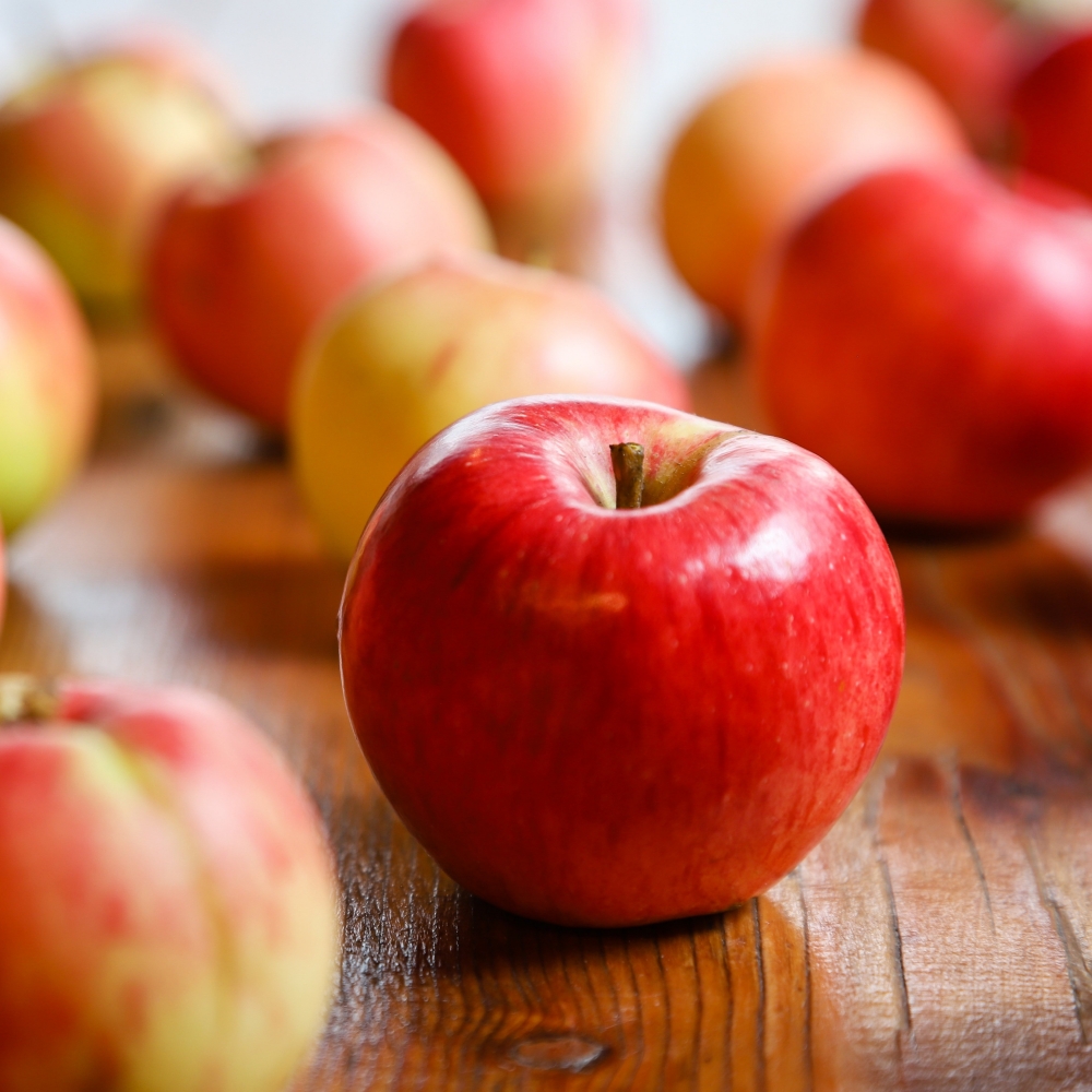 사과 프리미엄 명절 선물 세트 5kg 특 16과 내외