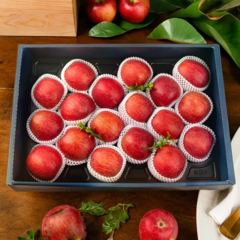 사과 프리미엄 명절 선물 세트 5kg 특 19과 내외