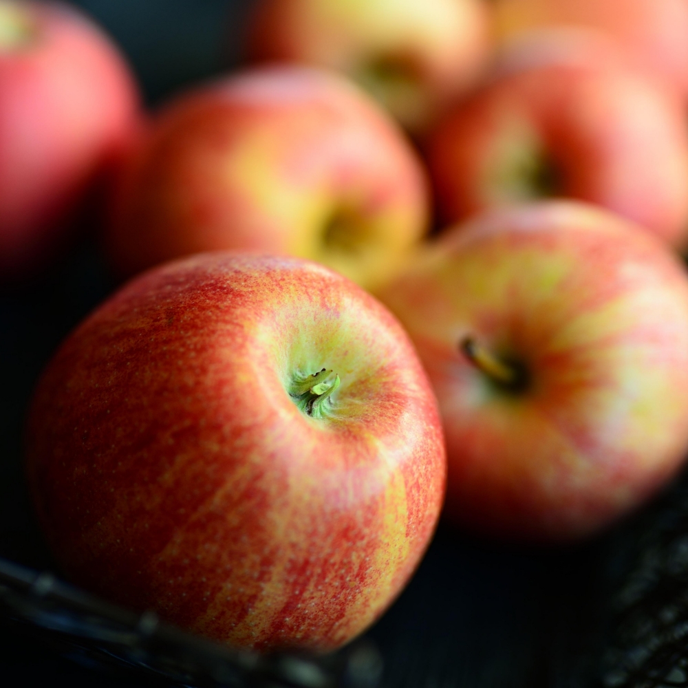 과일 혼합 프리미엄 명절 선물 세트 4kg 특 사과6과 배3과