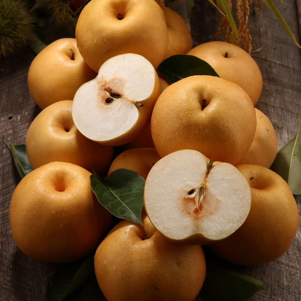 과일 혼합 프리미엄 명절 선물 세트 4kg 특 사과6과 배3과