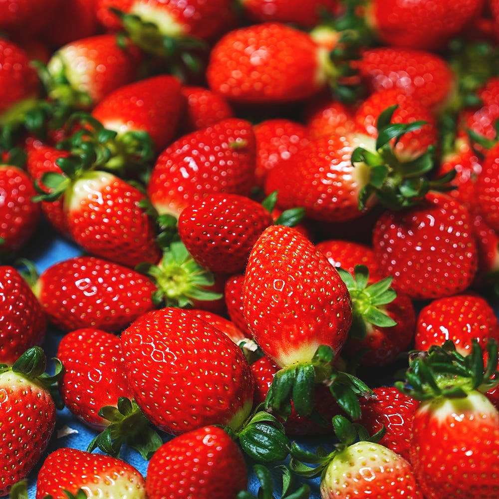 [익산 탑마루] 비타킹 딸기 1kjg (500g x 2팩)