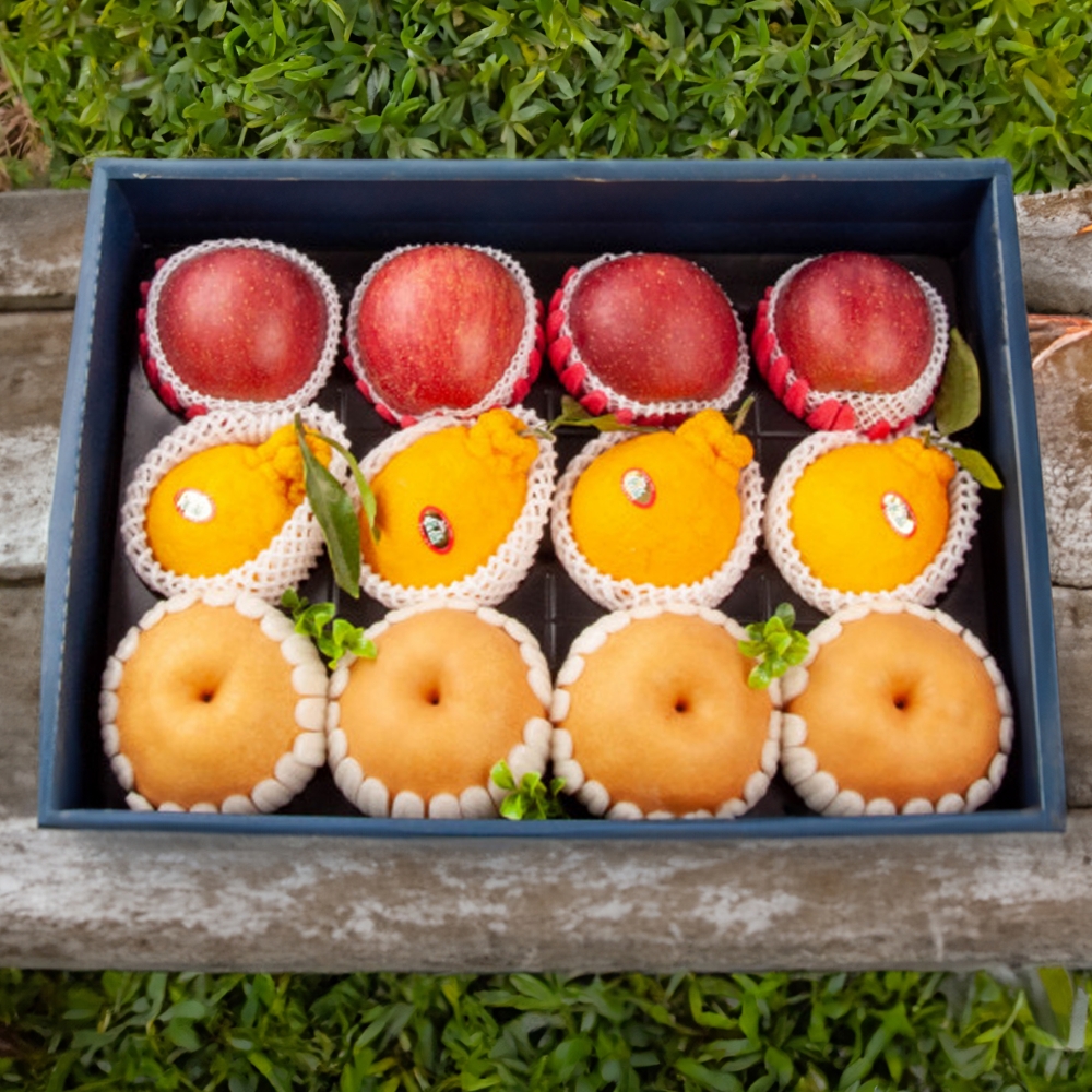 과일 혼합 프리미엄 명절 선물 세트 5.5kg 특 사과4과 배4과 한라봉4과