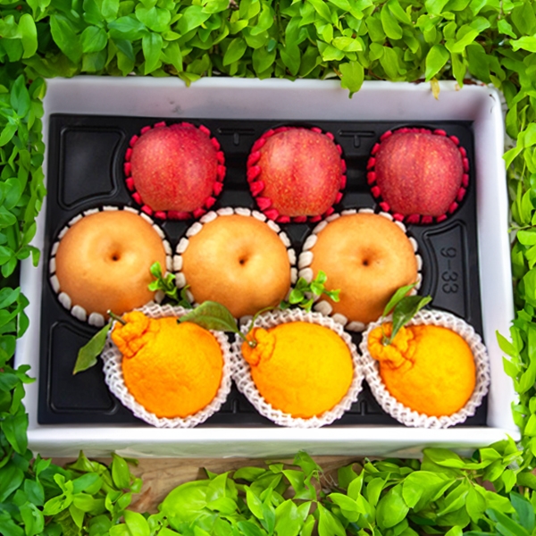 과일 혼합 프리미엄 명절 선물 세트 4kg 특 사과3과 배3과 한라봉3과